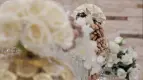 نمونه مراسم