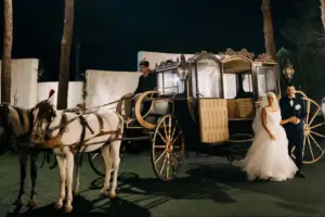  نمونه مراسم مجلل عروسی