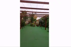  نمونه مراسم در فضای باز